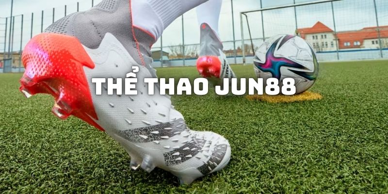 Khái quát về loại hình cá độ tại sảnh Thể thao Jun88